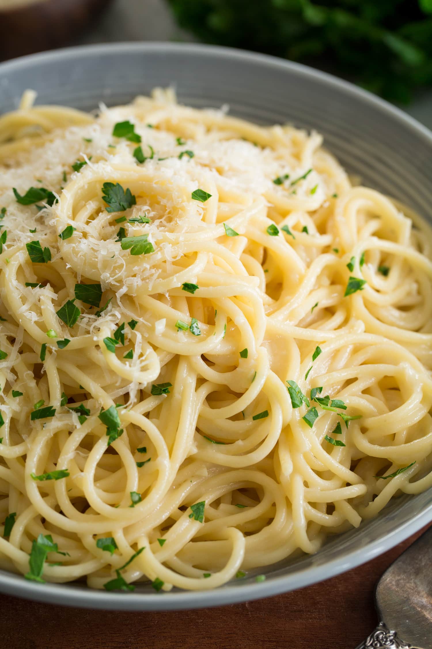 Close up photo of spaghetti with garlic and parmesan.